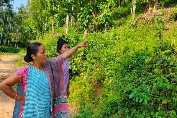 Welentina Pamthet señala la plantación de betel de su familia