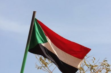 Sudanese Flag 1